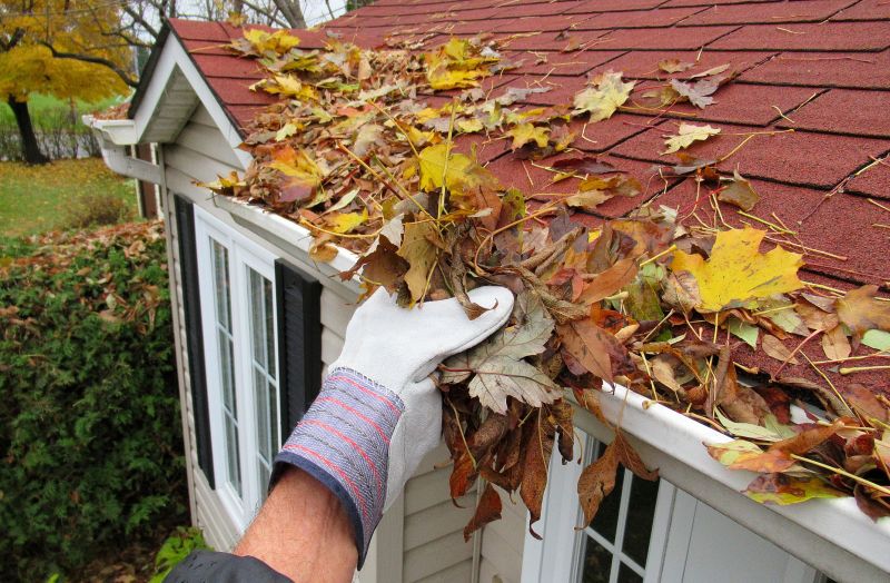 Eaves Cleaning