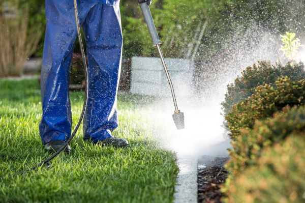 Cost of Curb Cleaning in Camas