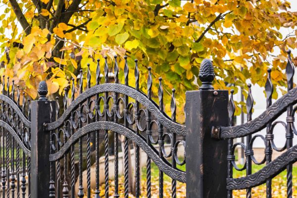 Cost of Wrought Iron Fence Washing in Camas