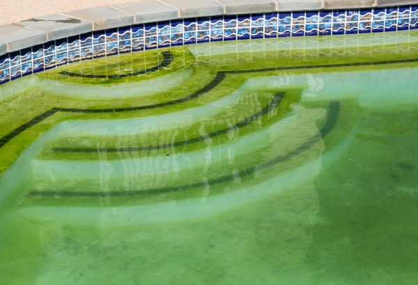 Cost of Pool Deck Algae Removal in Camas