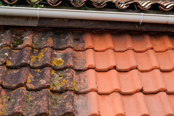 Industrial Roof Cleaning in Camas